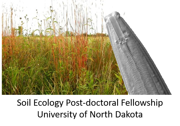 We're looking for a postdoctoral researcher in #soilhealth and #soilbiota in lands enrolled in the Conservation Research Program! Apply by 3.1 <a href="/theGSBI/">Soil Biodiversity</a> <a href="/soilecol/">Soil Ecology Society</a> <a href="/SON_nemaweb/">Society of Nematologists</a> 
tinyurl.com/42ara4de