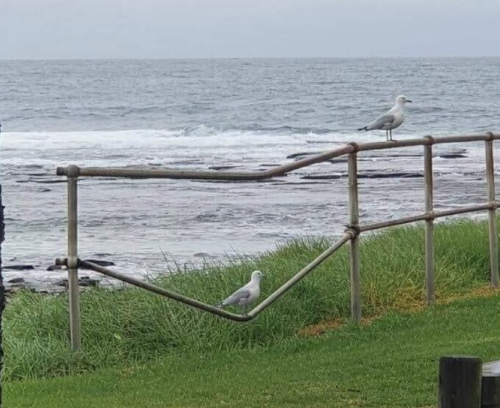 Correlation ≠ Causation