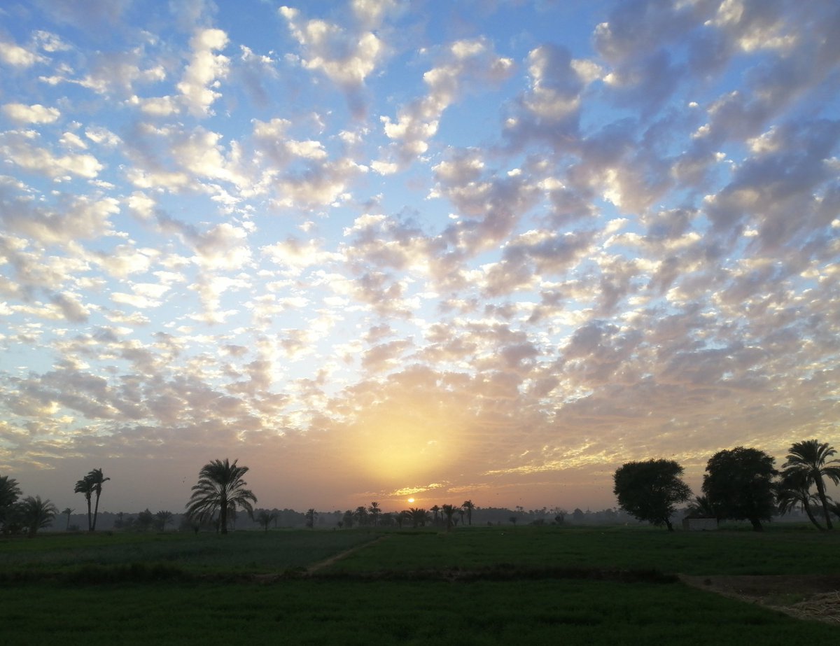 7starHisham's tweet photo. @Gan7aa https://t.co/jOv55vmlRf
