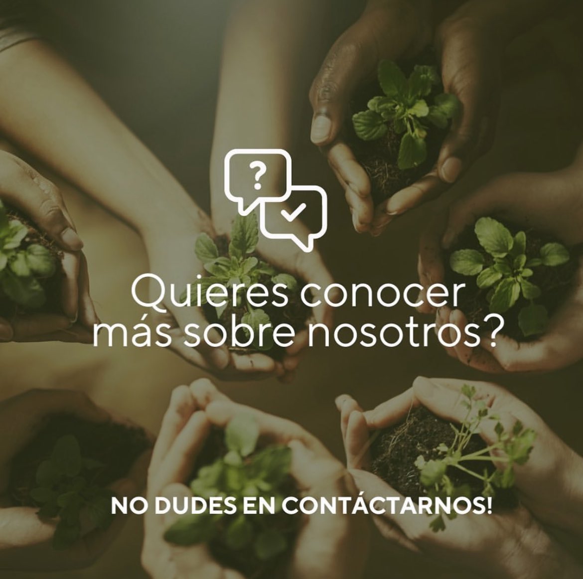 compralocalmtr's tweet photo. En #ProyectoLocal nos enfocamos en generar un gran valor para nuestra región.
👉🏻👉🏻conoce nuestros impactos! Te ofrecemos un completo acompañamiento para ejecutar grandes proyectos.
No dudes en contactarnos‼️Escríbenos por DM https://t.co/obitHjPGnR