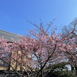 ツイートに含まれる画像