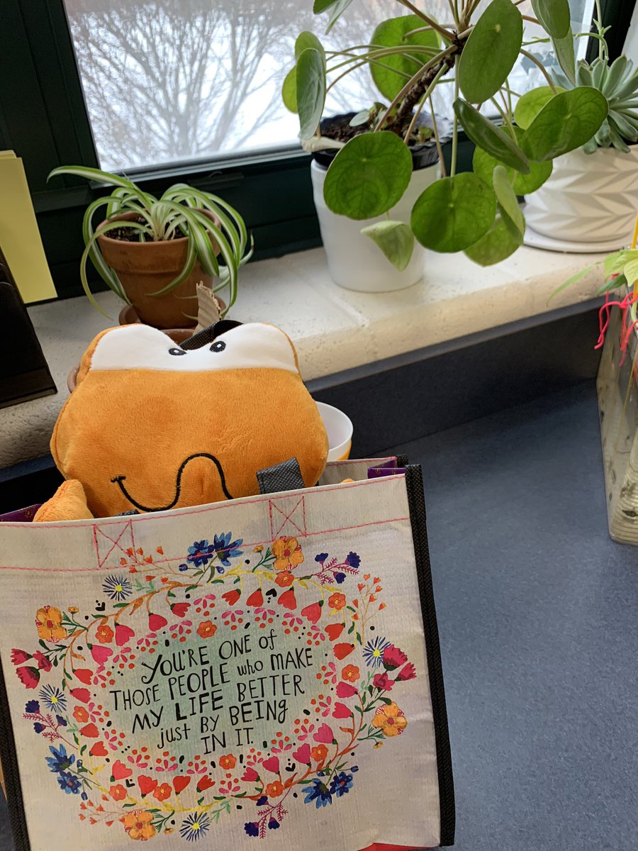 Susan Ruane tweet media