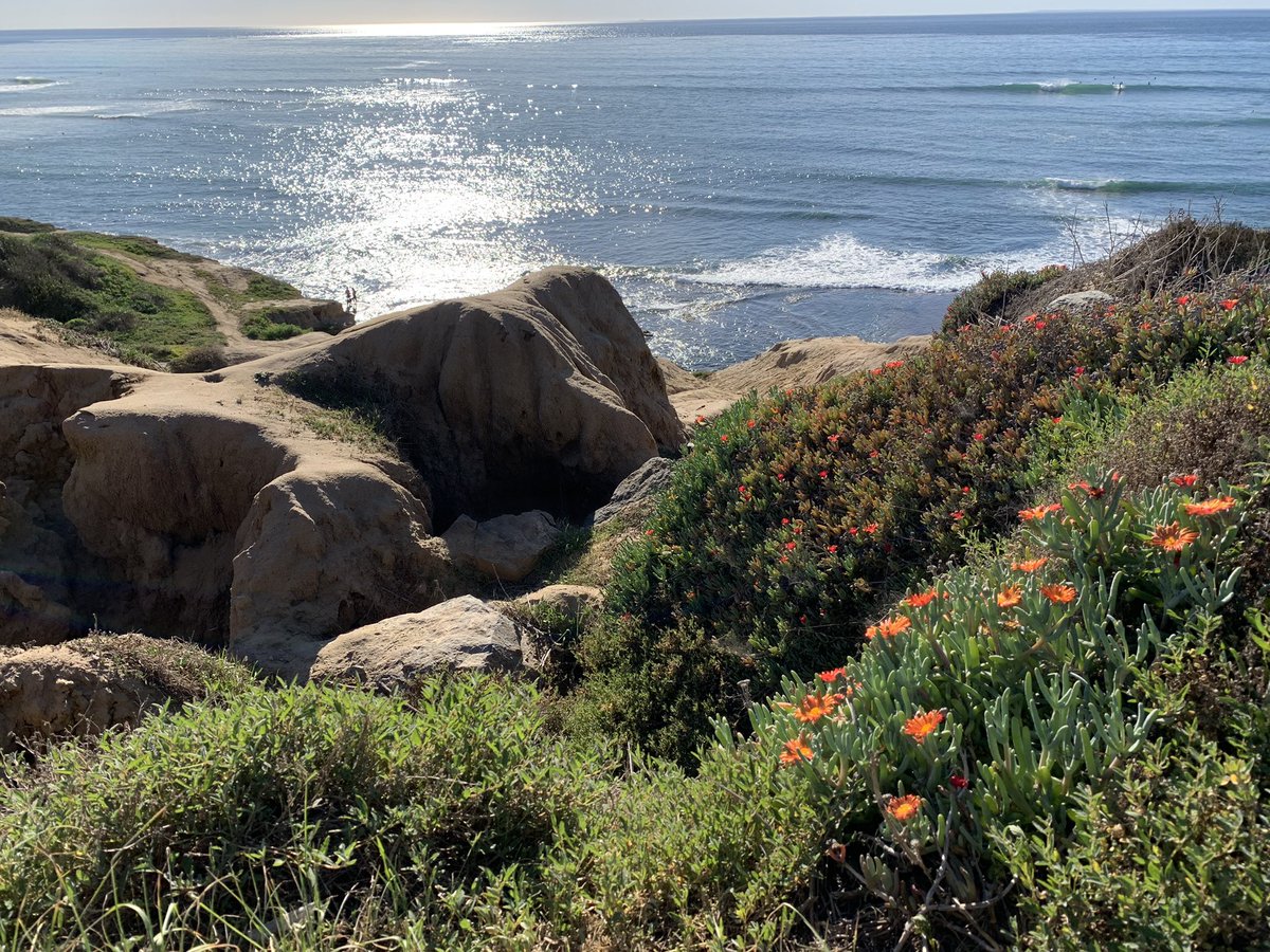 Brian Grill tweet media