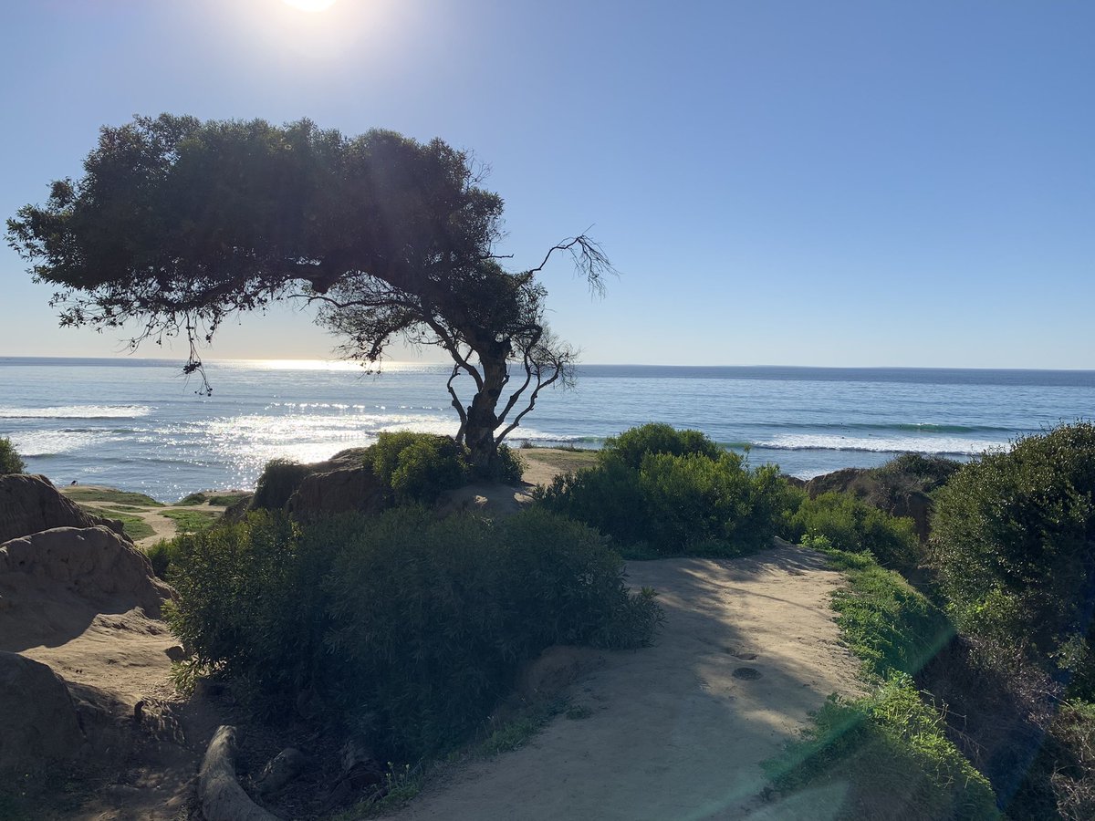 Brian Grill tweet media