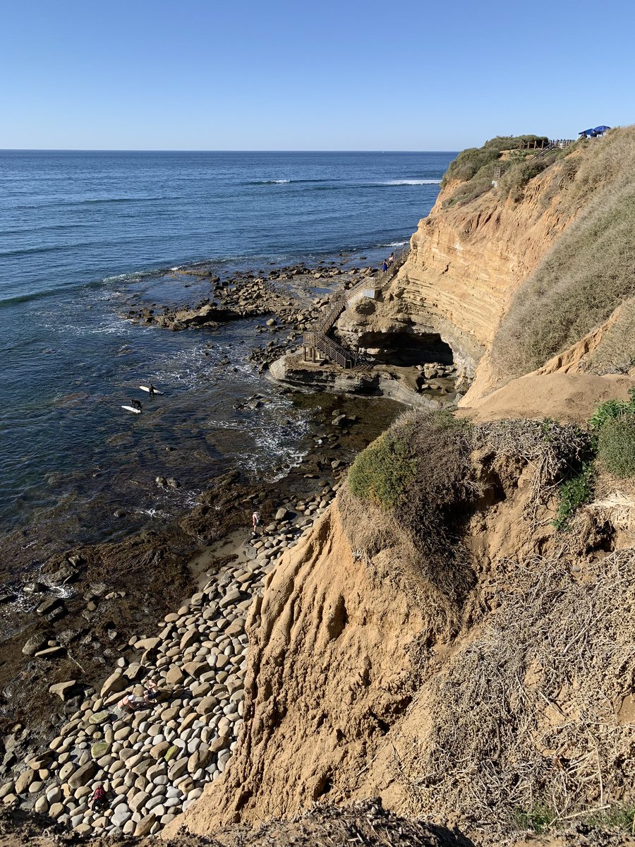 Brian Grill tweet media