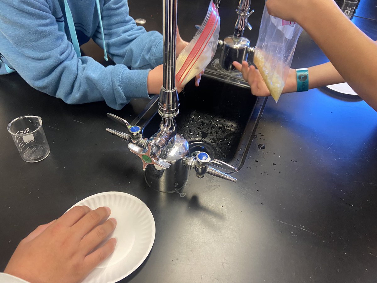 wiermaths's tweet photo. Modeling how food passes through the digestive system with a messy lab! https://t.co/Pf1uPN9gL4