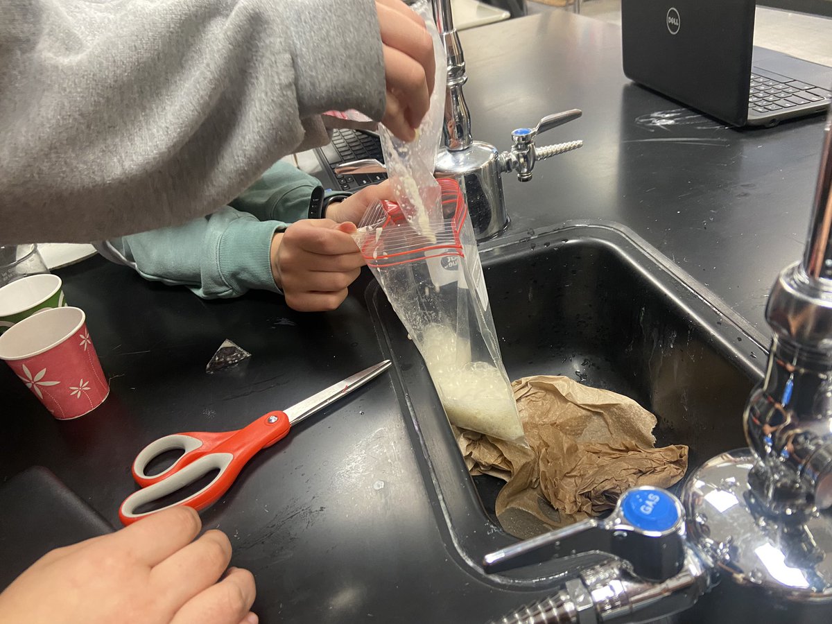 wiermaths's tweet photo. Modeling how food passes through the digestive system with a messy lab! https://t.co/Pf1uPN9gL4