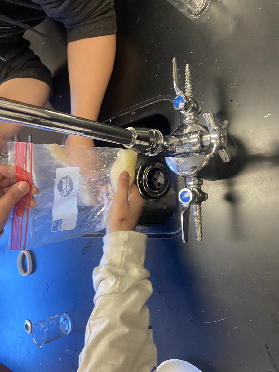 Modeling how food passes through the digestive system with a messy lab!