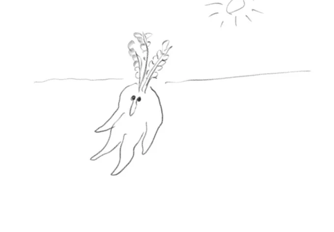 根菜類 