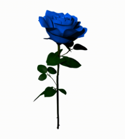 ProjectsNftSol's tweet photo. Project: La Rose Nft Club @LaRoseNFTClub
Website: https://t.co/xDwh7UaVGB
#Solana MINT 10.02.2022 2:00 UTC Offer 11111  price 0.45 SOL
Good luck! https://t.co/izPXSQWSPw