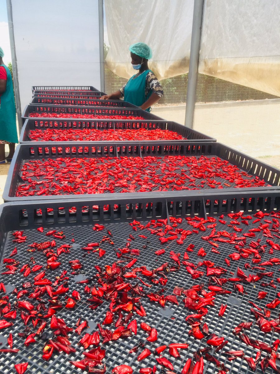 Food Masters South Africa tweet media