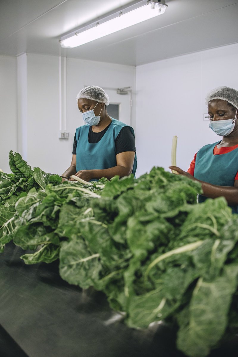 Food Masters South Africa tweet media