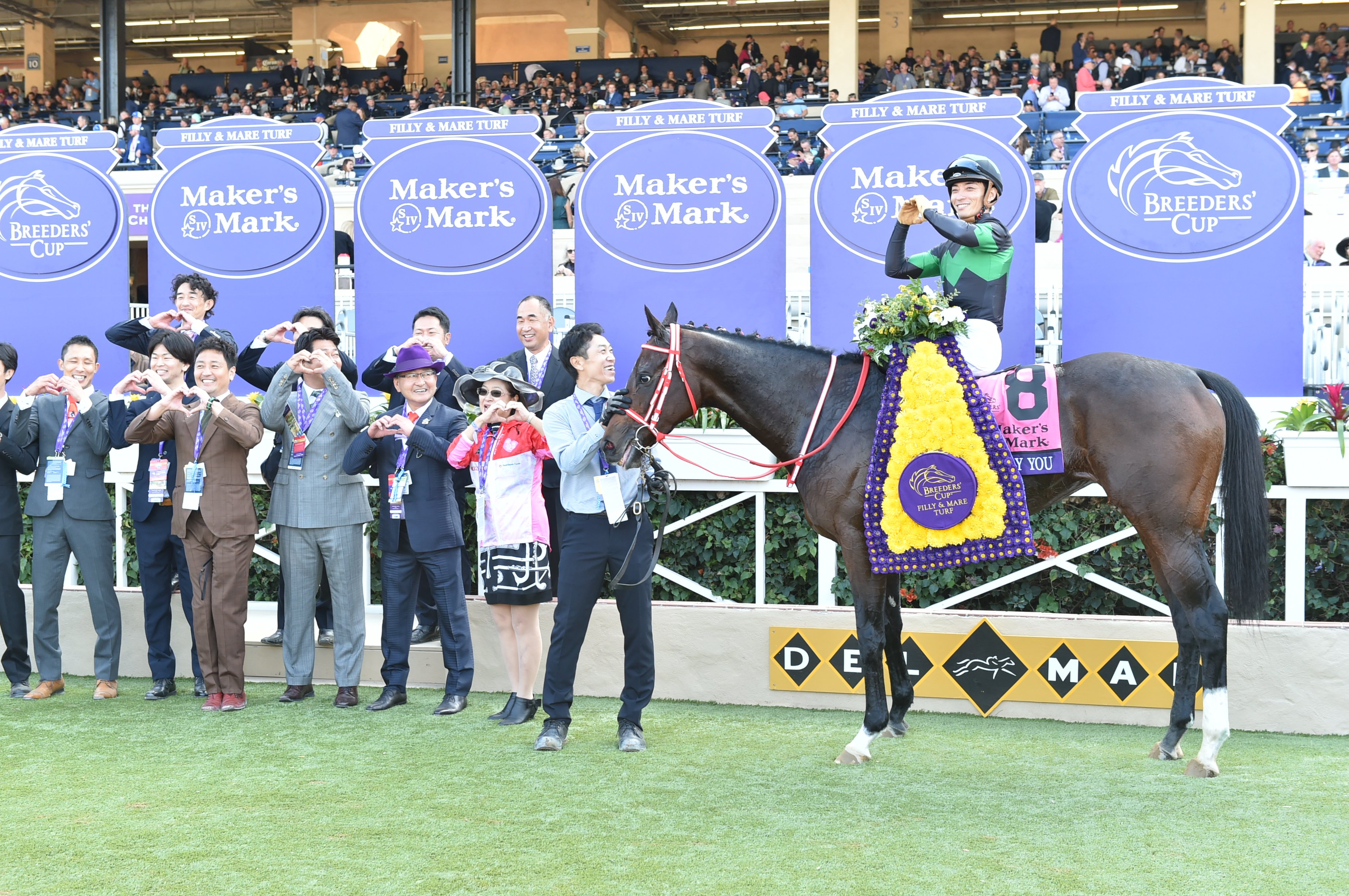 【世界限定100個】RWC 2019 決勝限定シリウス（日本未発売）オマケ付 世界限定100個】RWC 2019 決勝限定シリウス（日本未発売）オマケ付