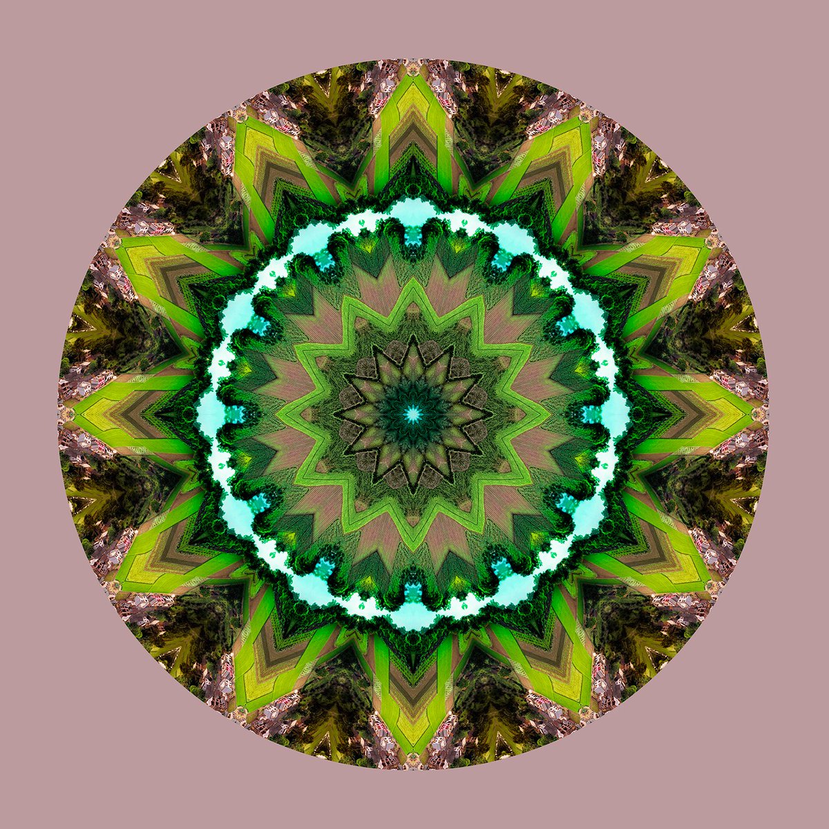 Cryptoportals_'s tweet photo. #008 Pacha 10

https://t.co/1GsBgtEEkO

#nft #nftartist #nftcollectors #OpenSeaNFT #cryptoportals https://t.co/8GYiwcBjUl