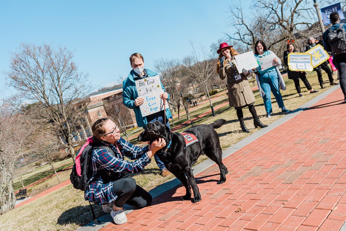 emoryhenry1836's tweet photo. ๐๐E&H students were supported in a โTunnel of Loveโ on a walkway at the Emory campus today. โWe wanted to show the students who are working hard and persevering how much they are cared for,โ said Travis Proffitt, Dean of Student Success. #EHlove #youcanEH #emoryandhenry https://t.co/GD7Z75e5va