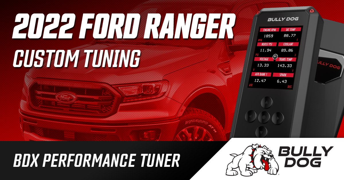 Bully Dog tweet media