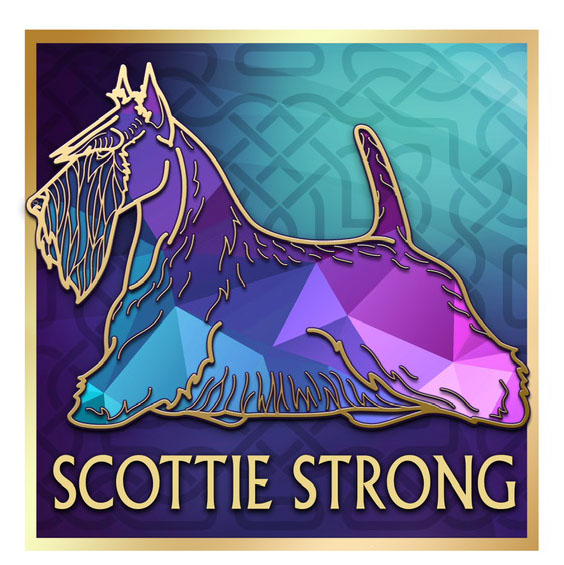 Scottish Terrier Club Of America (@STCAScotties) / Posts / X