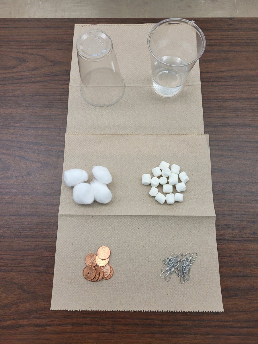 SMHeightsElem's tweet image. Will it Sink or Float? 😟 Ms. Howard’s 2nd graders working diligently to find out which objects will sink or float! @miamisup @MDCPS @MDCPSSouth @5281principal #MDCPS #MIAMISCHOOLS #MIAMISUP #SMHE #SCIENCE #HANDSON