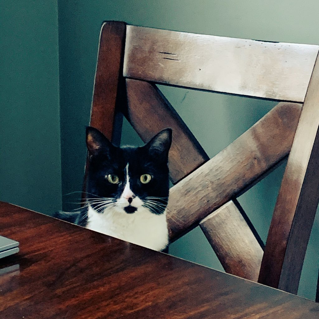 GutTheGoat's tweet photo. she's up to something https://t.co/pRr3kPuhn1