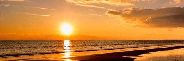 Digao_Omega's tweet image. 