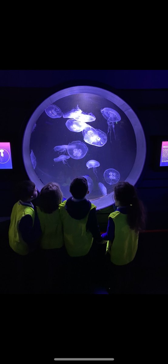 MFinfantschool's tweet photo. #MFrainbowfish #TheDeep π‘π¦π¦π https://t.co/LDsdltKMMe
