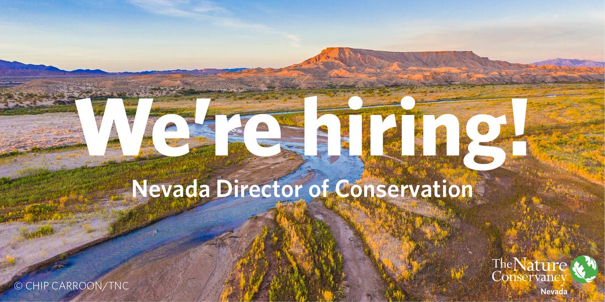 📢  Job alert: We are hiring a Director of Conservation!  

Learn more and apply here: careers.nature.org/psc/tnccareers…