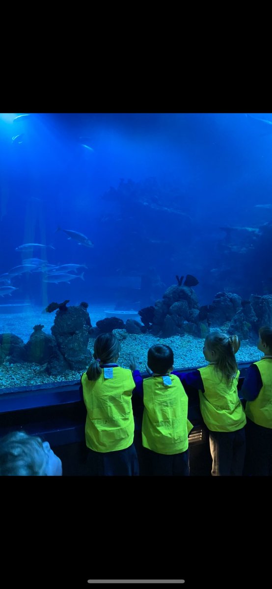 MFinfantschool's tweet photo. More photos of Rainbowfish and their trip to The Deep π‘π¦π π¦#MFrainbowfish https://t.co/Tfk9JAnKZR