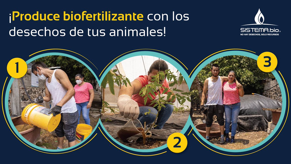 Así como Mary y Ray, atrévete a utilizar biofertilizante para que tus productos salgan con mayor calidad y mejor sabor.

Produce tu propio fertilizante orgánico y dile adiós a los agroquímicos ♻️🌱

#CreandoValorDelDesecho #Biofertilizante #Biodigestor #Agricultura