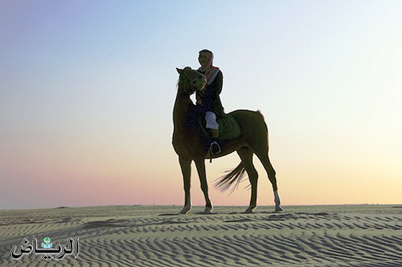 alrshed's tweet photo. …
أشوف الخطأ بين العرب وأعرف المخطي
ولو أنصحه جاءت الشياطين منهده

أبهدِ العرب يا حميد مير الله الهادي
وأنا أخشى على بعض الأوادم من الرده

ليا شفت لي مقفين أنا ما أتبع المقفي
أبا اقفي عنه وابا اتبع الشده,, الشده

يغيّر مسار السيل الاصلي بوضع الني
ومن راد,, رد السيل بالعكس ما رده https://t.co/KeQzHWw51O