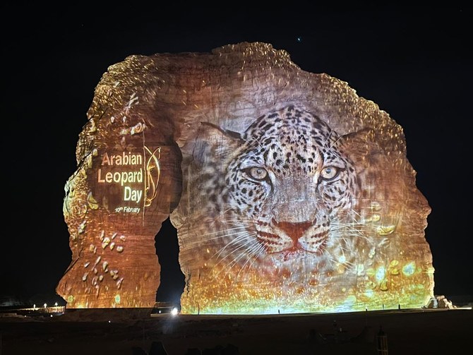 arabnews's tweet photo. #SPOTLIGHT: #BigCat #conservation is a vital step in #SaudiArabia’s plans to increase the number of protected habitats. Read about the effort to save &amp; rewild the #ArabianLeopard in the Kingdom #ArabianLeopardDay #ArabianLeopardFund https://t.co/QVtcKkzGYQ https://t.co/pzycXHAYQr