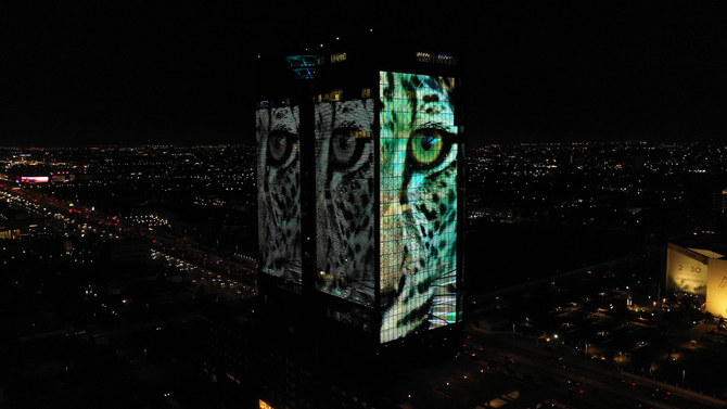 arabnews's tweet photo. #SPOTLIGHT: #BigCat #conservation is a vital step in #SaudiArabia’s plans to increase the number of protected habitats. Read about the effort to save &amp; rewild the #ArabianLeopard in the Kingdom #ArabianLeopardDay #ArabianLeopardFund https://t.co/QVtcKkzGYQ https://t.co/pzycXHAYQr