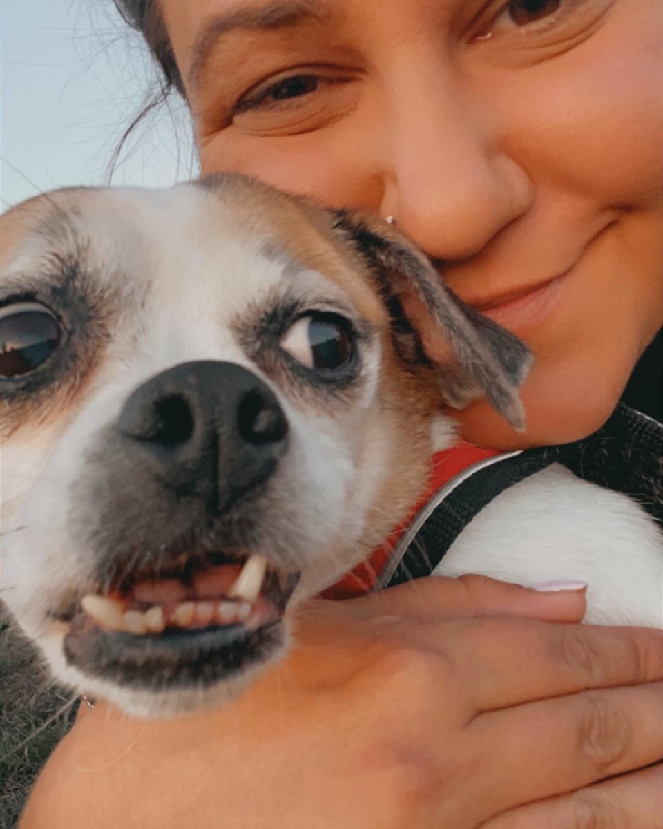 StepOnMe_Stanko's tweet photo. My heart will never be the same 💔 Rest In Peace my Maddie girl 💔 https://t.co/wY2bkWs3wF