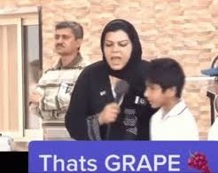 Nimraaah's tweet photo. @anamloveee Sacrifice se yaad aya Grapeeeee 🍇🥺 https://t.co/V1BI8D66up