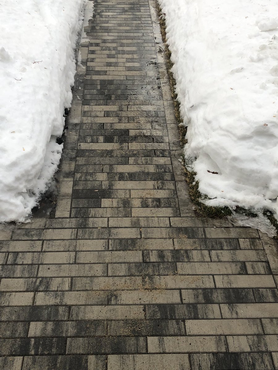 Paving stone driveway or curling rink?