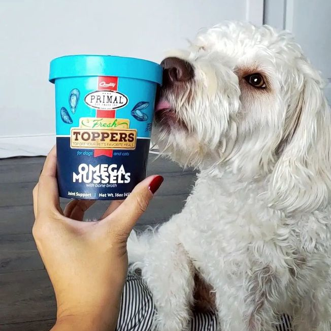 BayStatePet's tweet photo. Omega Mussels Fresh Topper is a great source of Omega-3 fatty acids, glucosamine, and chondroitin. These are perfect for maintaining the health of pets' joints! 📷: @mr.marshmarlow #Omega3 #mussels #freshtoppers #jointhealth #glucosamine #liveliferaw #labradoodle https://t.co/XycwCwvEXX