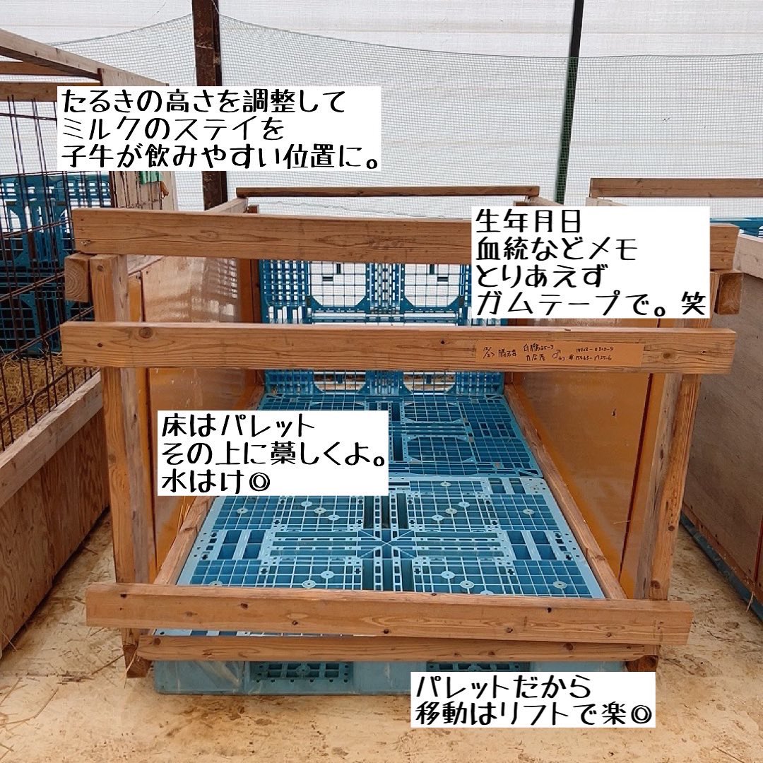 ハッチ見せてほしい！と度々ご連絡いただいてまして、やっと投稿しま