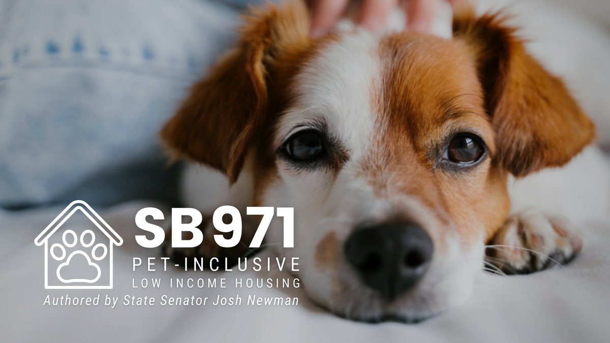 JoshNewmanCA's tweet photo. No family should be forced to choose between their pet🐶and a roof 🏠over their heads. Today, I introduced #SB971 which will make pet ownership🐾paw🐾sible for more of California's renters #CALeg

Full release ⬇️
https://t.co/HqmGvKebvF https://t.co/czsHBurOlp
