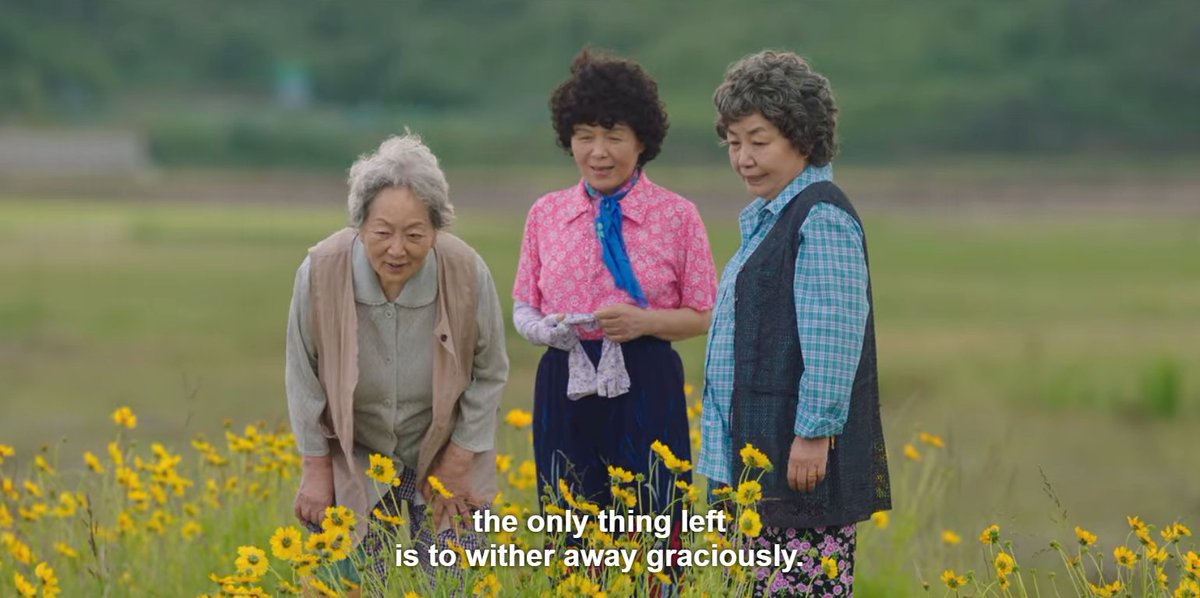 _Asiancinema_'s tweet photo. 갯마을 차차차: Hometown Cha-Cha-Cha (2021).
—  dir. Yu Je-won • dop: Park Jung Hoon. https://t.co/lEjQkqgTc6