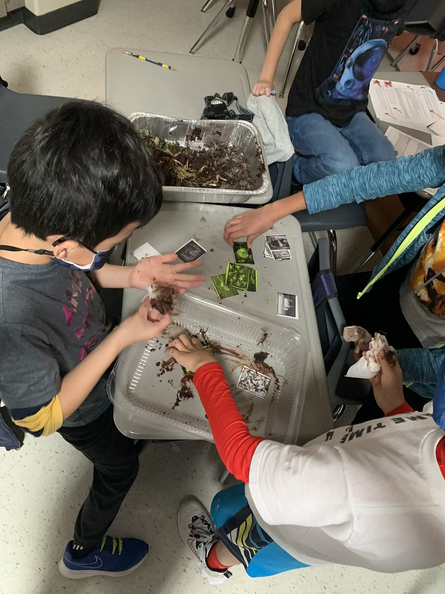 WELCOME TO JURASSIC WORLD! Park Rangers in Mrs. Breitenbach's 4th Grade Class, there is a crisis. To escape from the T-rex, they must use their reading and math skills they’ve learned this year. Good luck rangers! <a href="/AlvinISD/">Alvin ISD</a>