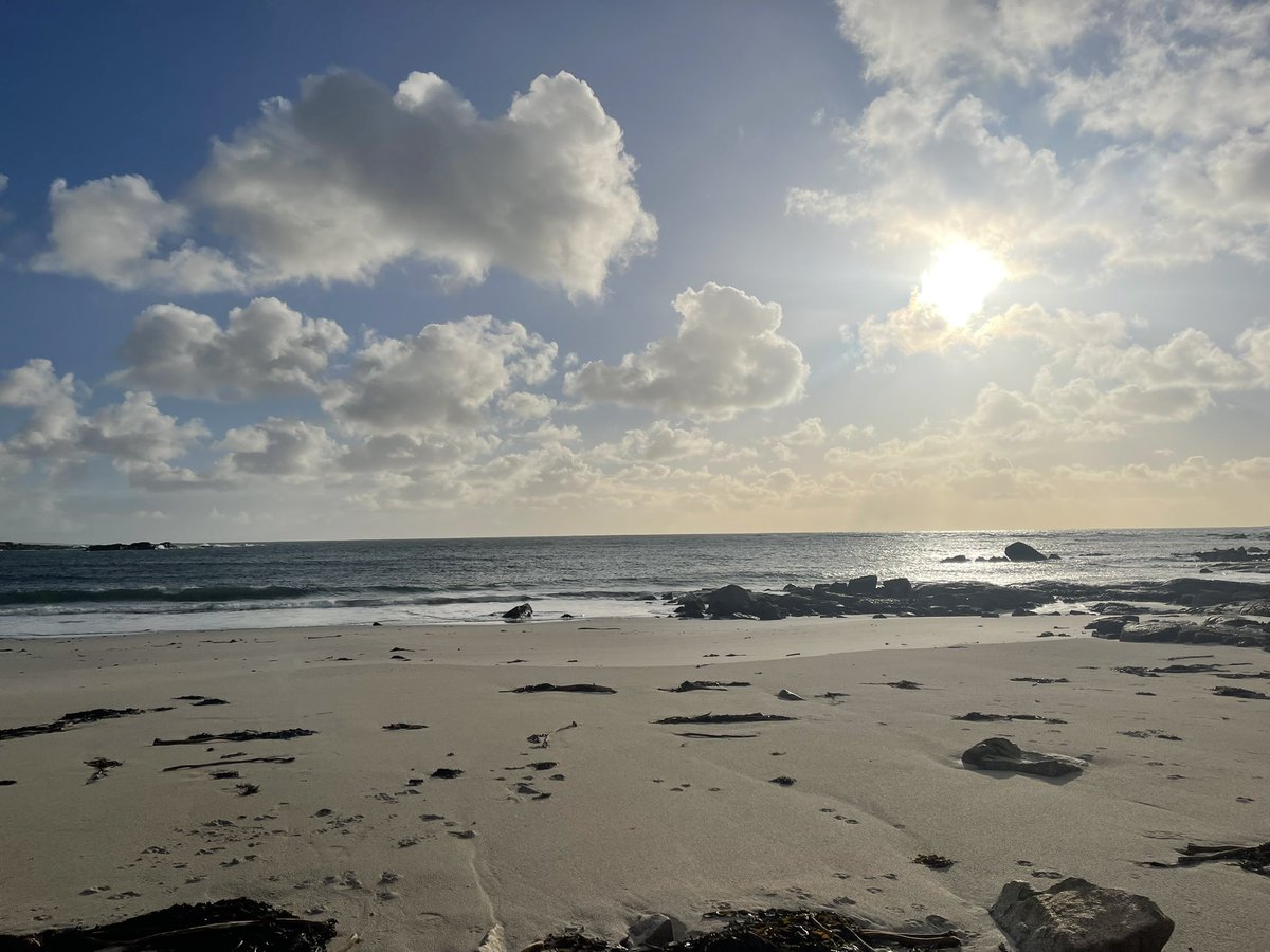 Moher Cottage tweet media