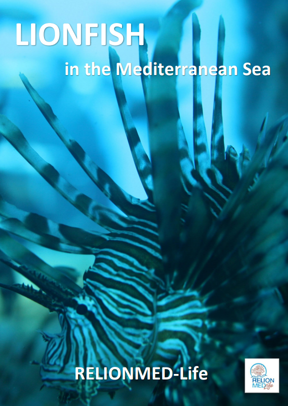 relionmed's tweet photo. #Lionfish #Workshop, 11/2/22: Do not miss today’s presentations!

https://t.co/e07FKW4T21 https://t.co/l1hJC72WjS