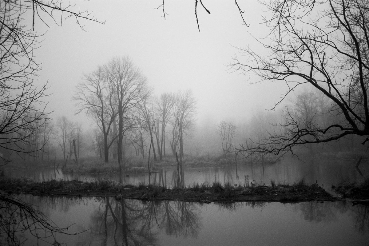 Cleveland Print Room tweet media