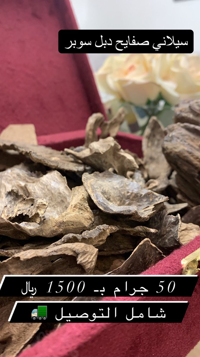 malath_0ud's tweet photo. لمحبي أعواد العود الفخمة والمميزة، نقدم لكم هذين العودين المميزين:
♨️ عود مروكي ملكي "دبل سوبر"
♨️ عود سيلاني قديم "دبل سوبر"
للطلب واتساب :

https://t.co/29IHPwxdTN https://t.co/XuPhZJiSnD