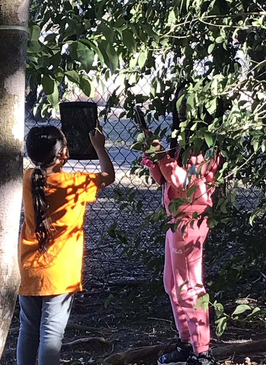 FineArtsatPV's tweet photo. PV’s Photography Club focuses on nature for their first meeting! https://t.co/LUF5yTAd57
