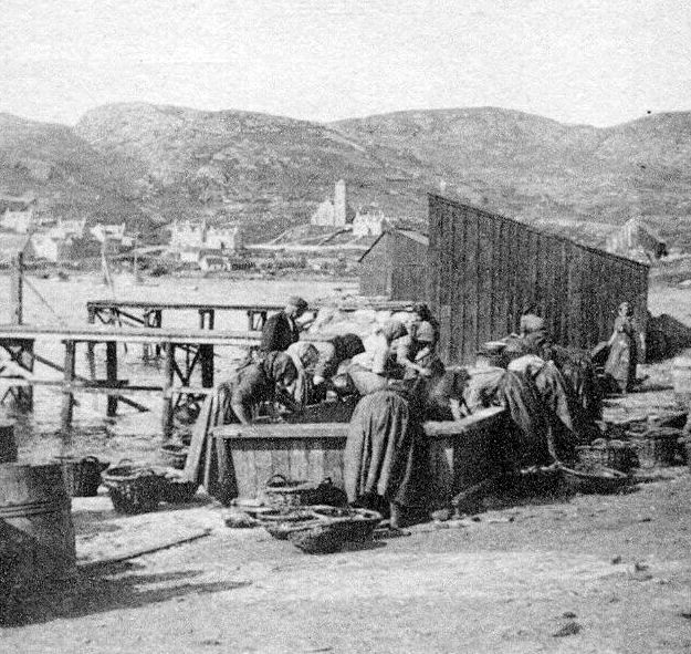 tourscotland's tweet photo. Old Tour #Scotland Ancestry Travel visit Genealogy Scottish Family History Blog photograph of women curing herring at the harbour in #Castlebay and information and story of the #Island of #Barra, #Outer #Hebrides Land here granted to #MacNeil clan in 1427 https://t.co/9PXDvfOBu9 https://t.co/ciGefuXfzC