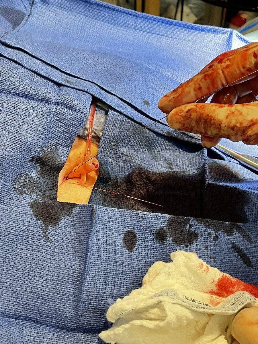 Raj Tayal tweet media