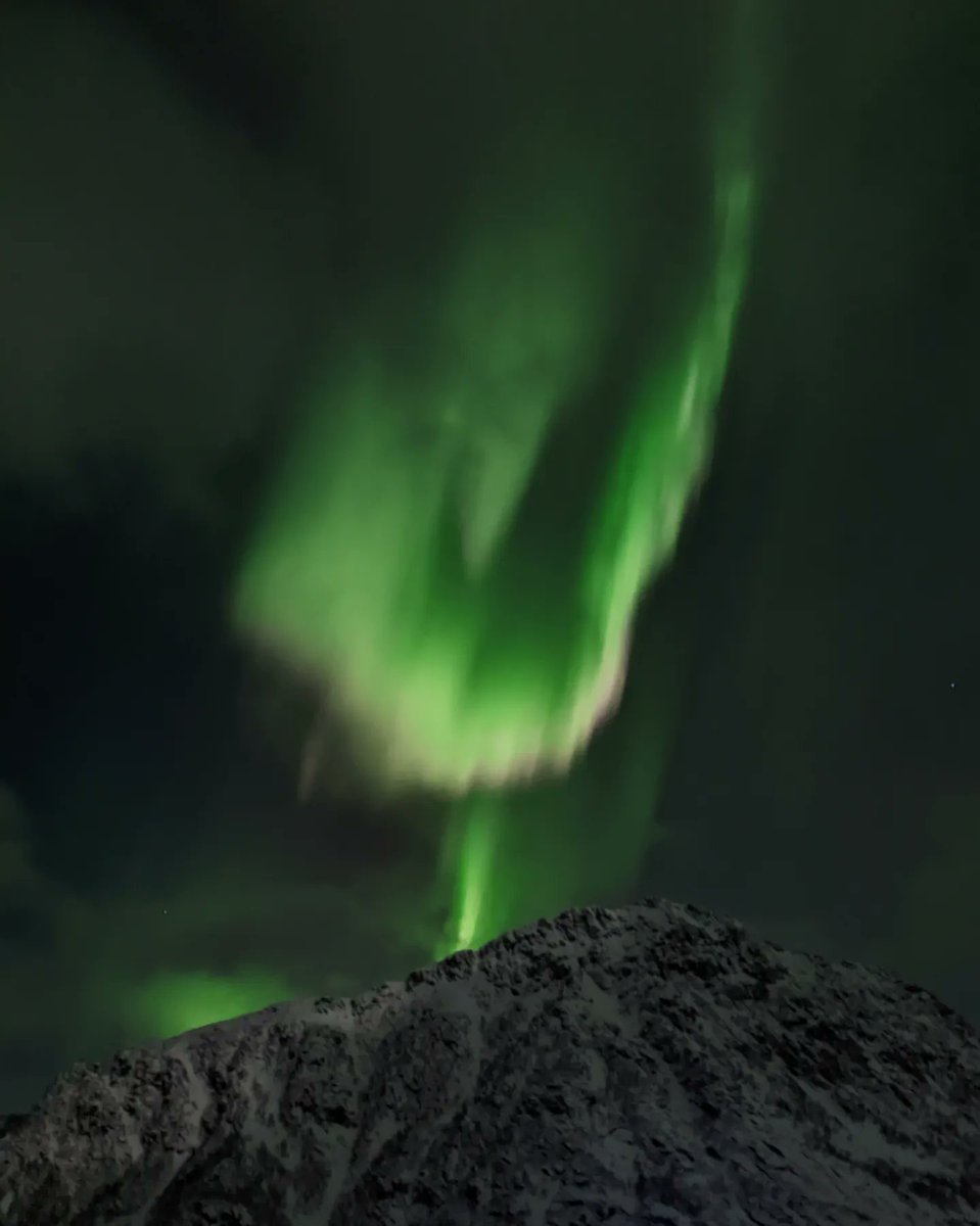 gaute_h's tweet photo. Do look up!

#hurtigruten #visitnorway #vesterålen #lofoten https://t.co/qHibWyWI5x