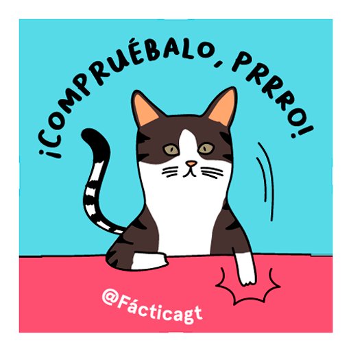 facticagt's tweet photo. 🤔 #FácticaEnVivo Aunque hubo un aumento en la matrícula escolar, Giammattei utilizó cifras que no coinciden con el @MineducGT durante el #InformeGt, además no mencionó que en los niveles de básico y diversificado la tasa de escolaridad disminuyó.
🧵Te explicamos en este hilo. https://t.co/KAGX6basJV
