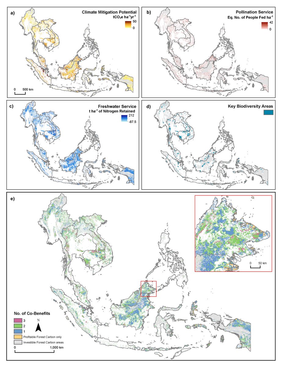 🚨Just out today - Our new paper on the Co-benefits of forest carbon projects in Southeast Asia, in @naturesustainab! Very happy to have this one out, a huge thanks to my collaborators, @rachelneugarten @beckyck, @yiwen1987 & @lianpinkoh! 🌳🌾🌊🐾🌏 doi.org/10.1038/s41893…