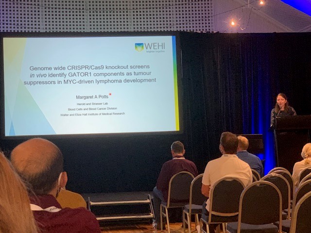 It’s impressive to hear presentations from senior researchers, but I’m always most inspired to see the work of rising stars ECRs like @Maggie_A_Potts in lab of @MarcoHerold_J @wehi @mscienceaustnz @10xgenomics